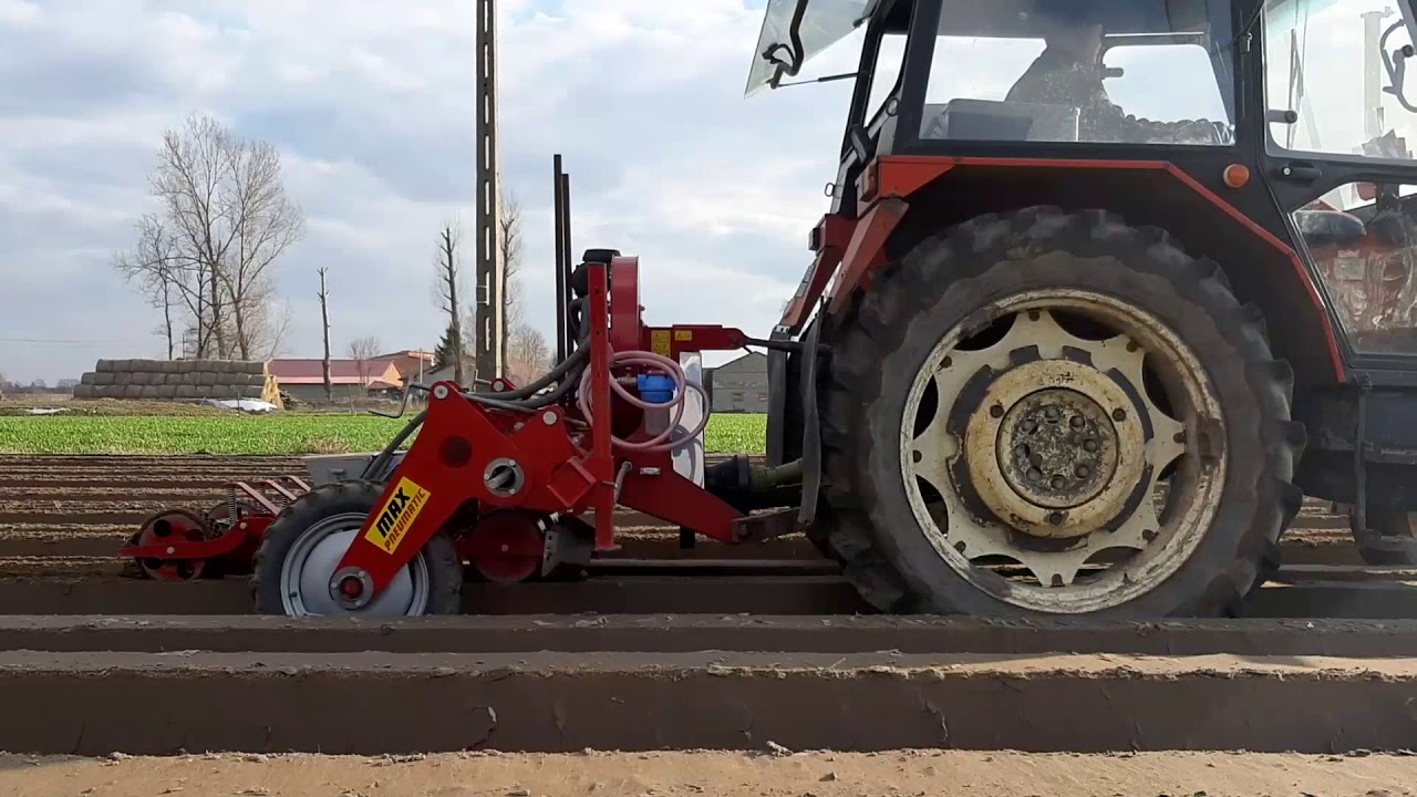 Siew marchwi uprawa 2020 Zetor Weremczuk