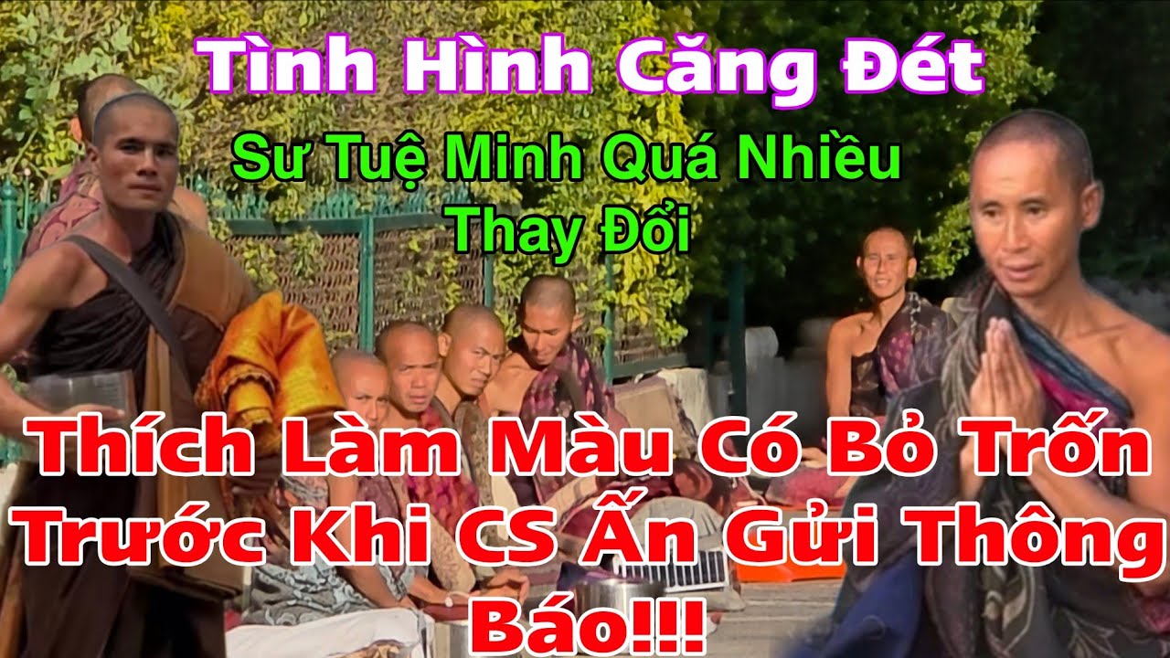 Tình Hình Đoàn SMT Căng Đét...Thích Làm Màu Có Bỏ Trốn Trước Khi CS Lật Lại Hồ Sơ Ấn Độ