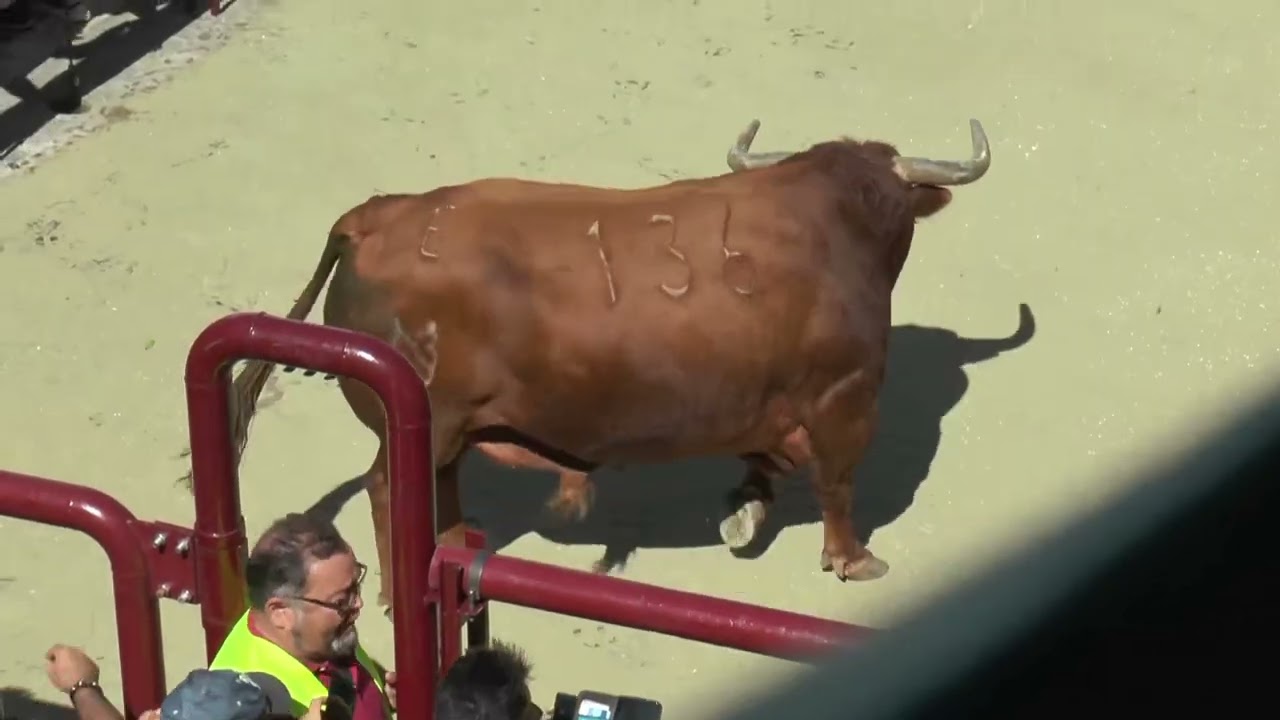 PRIMER TORO DEL ALELUYA 2022 (17/04/22)