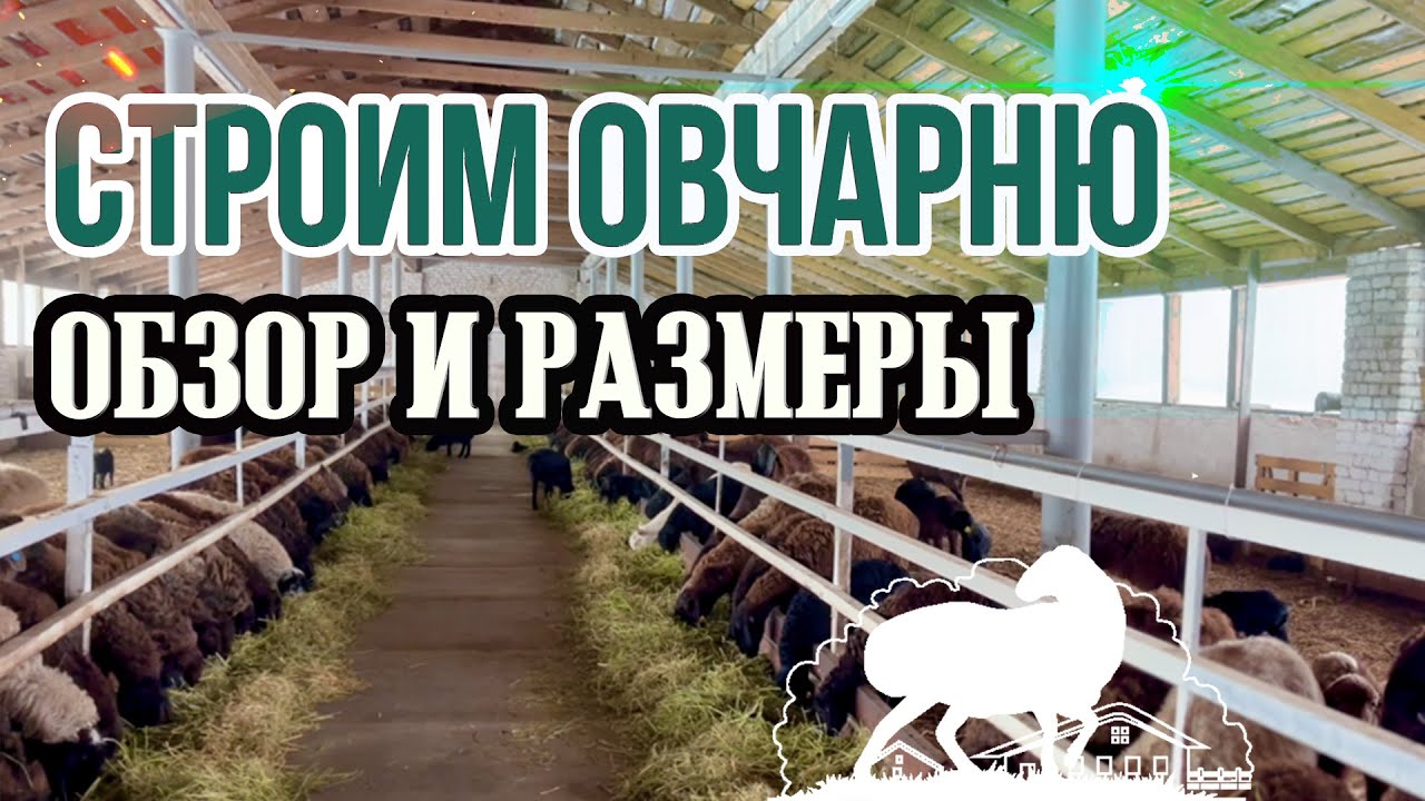 Строим овчарню: обзор и обустройство