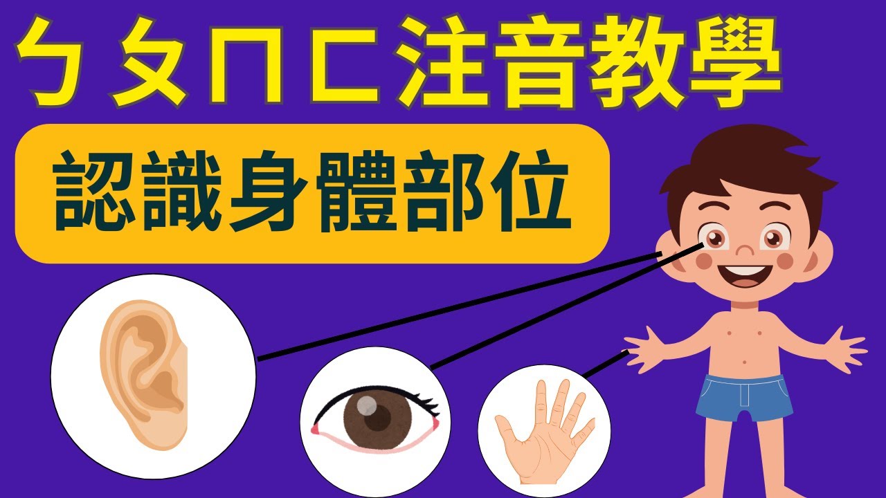 ㄅㄆㄇㄈ 幼兒注音教學｜身體部位主題｜注音符號發音｜兒童英文學習｜中英文單字｜雙語教育｜Body Parts in Chinese｜Learn BPMF for Kids
