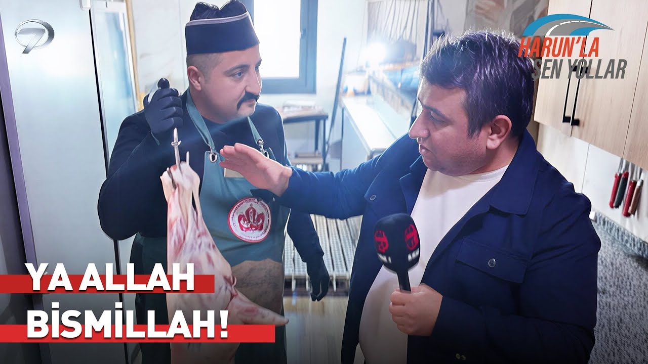 Kuzuyu Yatırdık Midemizi Genişlettik 🤣 | Harun'la Şen Yollar