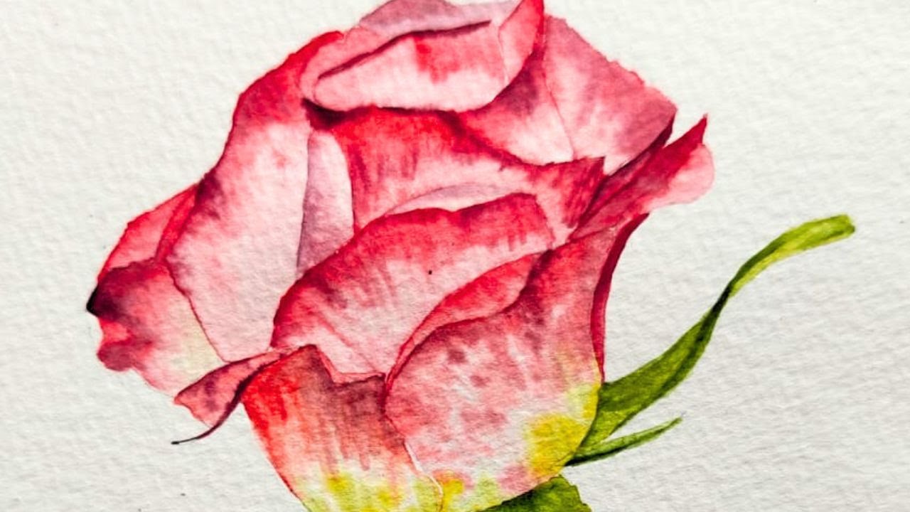 7-Minute Vibrant Watercolor Red Rose Tutorial | Petal by petal soft rose painting