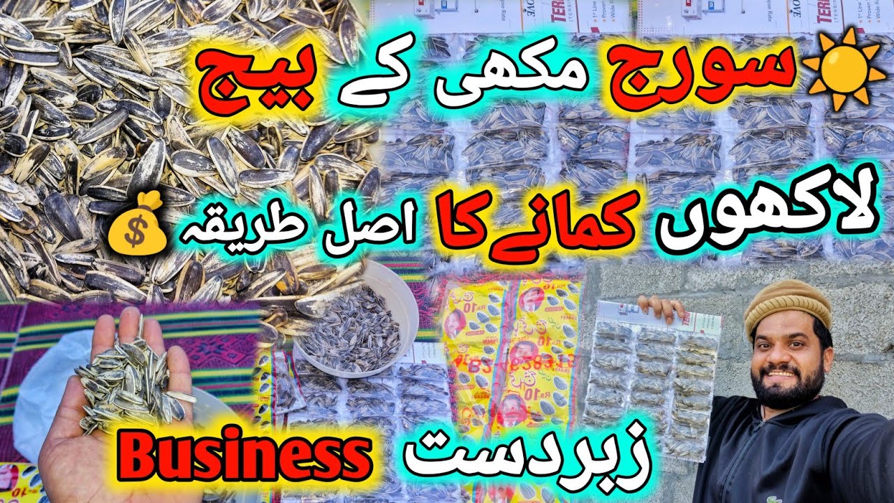 Sunflower Seeds Packing Business | Low Investment High Profit Small Business