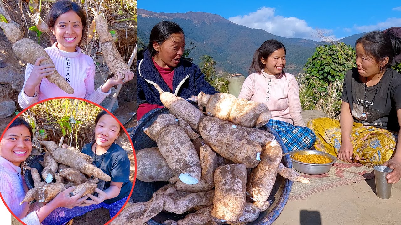 finding chayote roots with village friends || sumnima Rai village video || sumnima@ruralnepalquest
