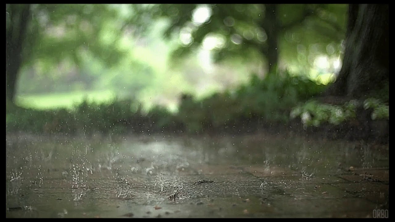 SONIDOS DE LLUVIA Y GRILLOS PARA TRANQUILIZAR MENTE Y ALMA | RELAX