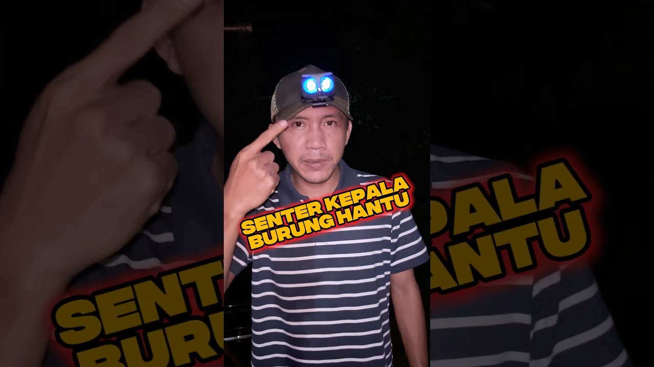 Senter Kepala Canggih philips #senterkepala #senter #outdoor #camping #pendaki