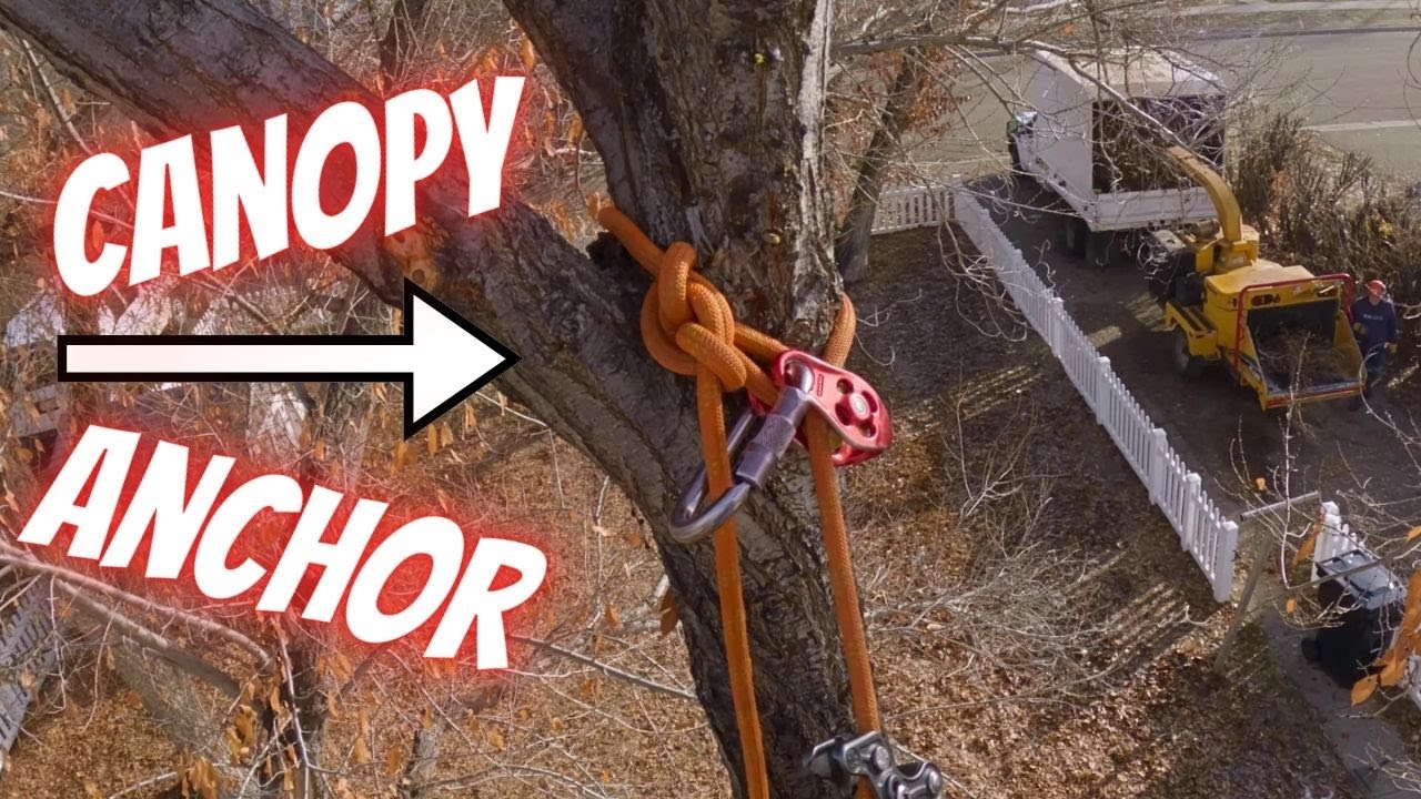 SRT Canopy Anchor Retrievable