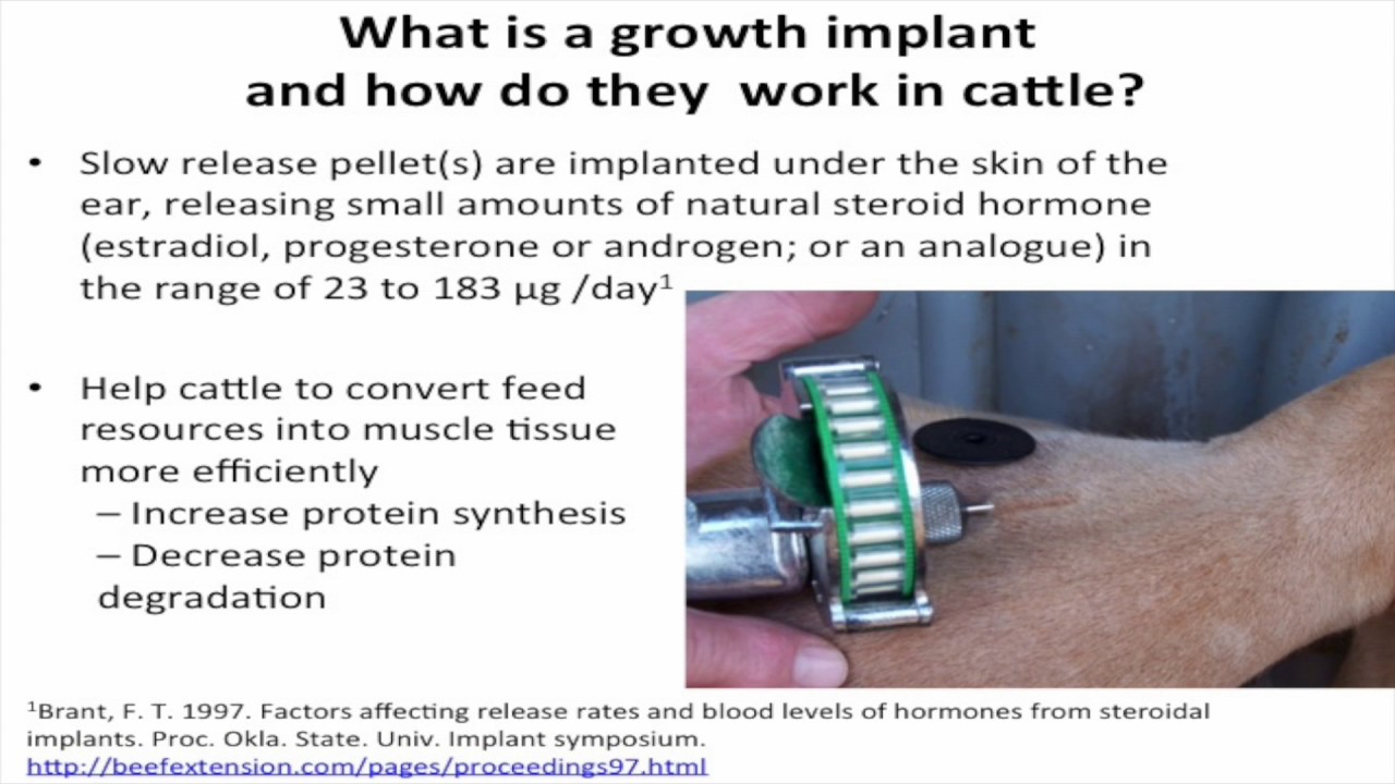 Bruce Carpenter - Beef & Cattle Literacy - Growth Implants