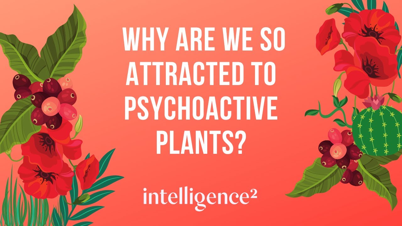 Michael Pollan: Why are we so attracted to psychoactive plants?