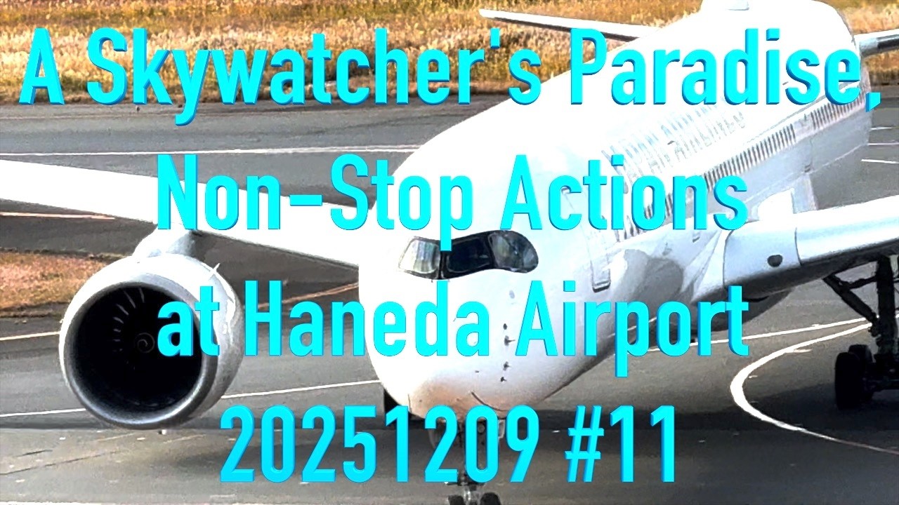 A Skywatcher's Paradise, Non-Stop Actions at Haneda Airport 20251209 #11 #japan #tokyo #haneda #fly