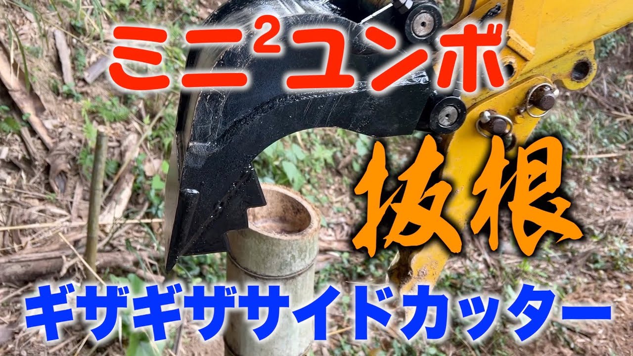 ミニミニユンボにノコギリ刃バケットを付けて孟宗竹を抜根する。