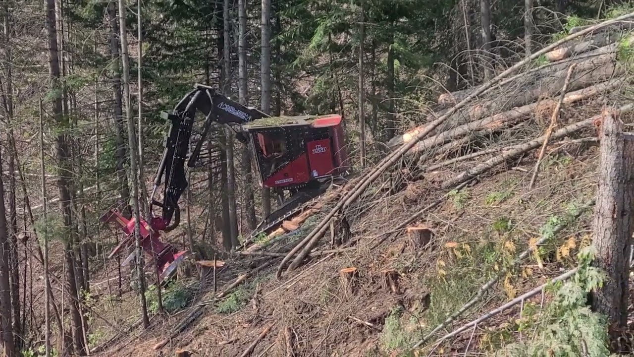 No trees are safe...