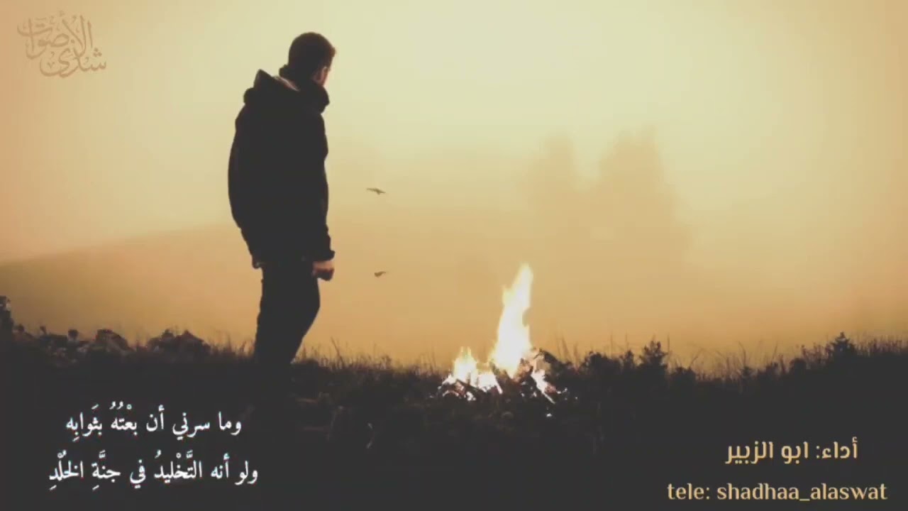 بكاؤكما يشفي وإن كان لا يجدي ... ابن الرومي إلقاء : #أبو الزبير شذى الأصوات