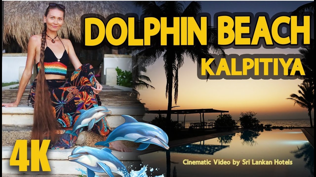 Dolphin Beach Resort Kalpitiya: A Coastal Symphony - Sri Lankan Hotels