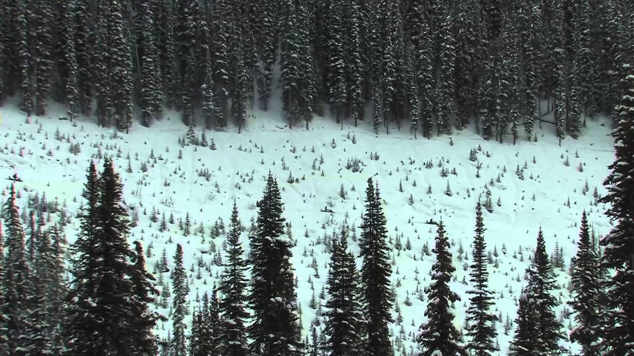 A Great Time Snowmobiling with White N Wild Snowmobile Tours~Golden, BC!