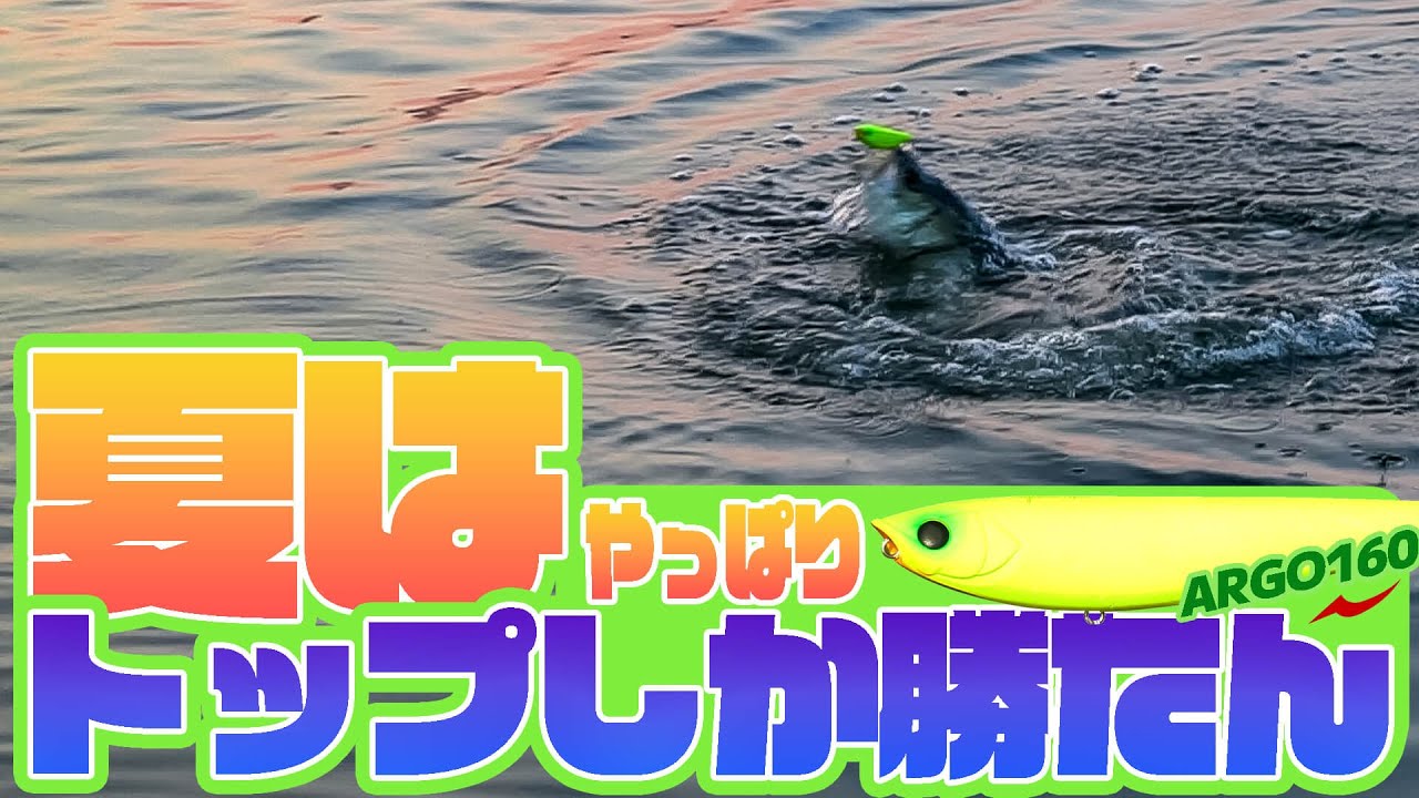 【実釣】地元河川でデイゲームに挑む！暑い夏は気温が高くなる前の朝まずめを狙え