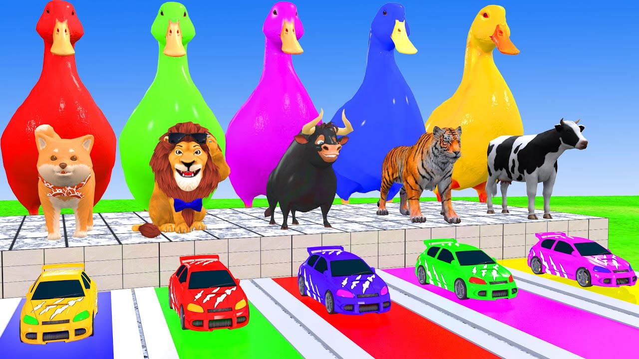 Long Slide Game With Elephant Gorilla Buffalo Hippopotamus Tiger 3d Animal Game Funny 3d Animals