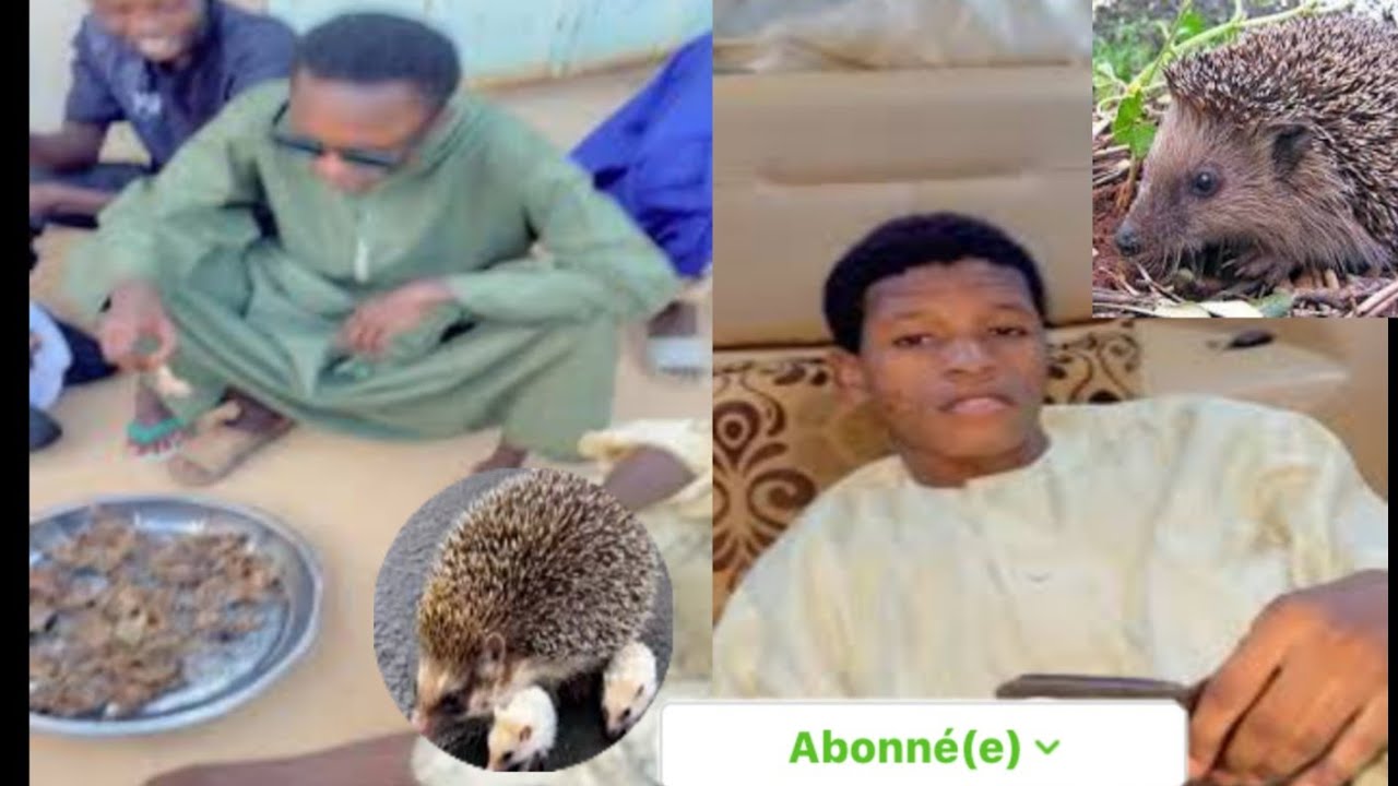 🤣🤣 thiay cheikh ak sougnél yii🤣🤣🤣