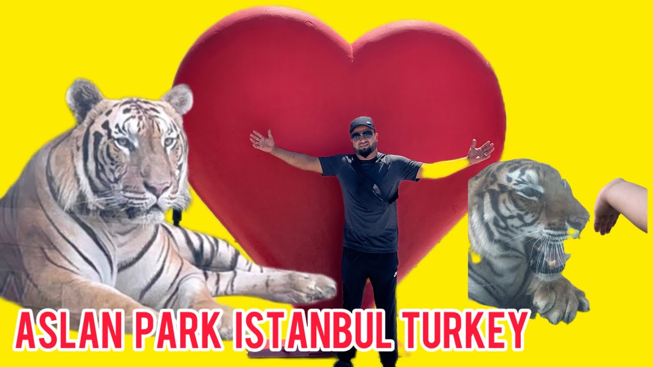 Aslan park turkey Istanbul