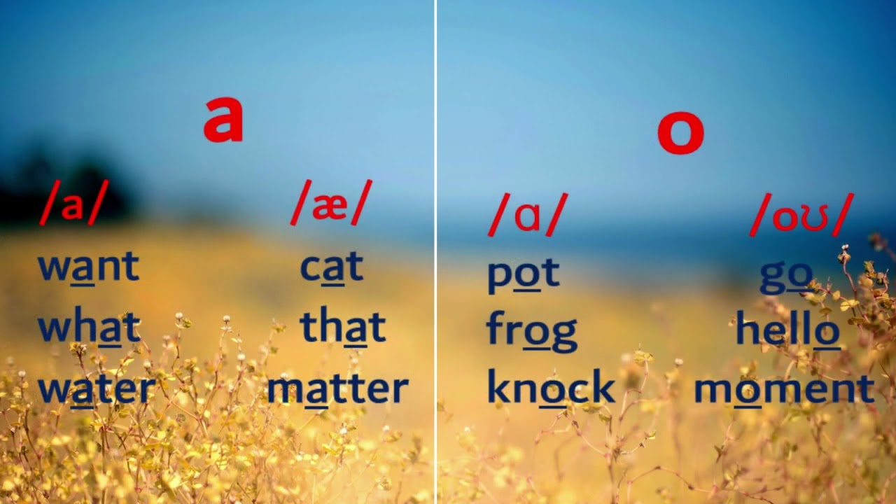 WRITING SYSTEMS AND SPEECH