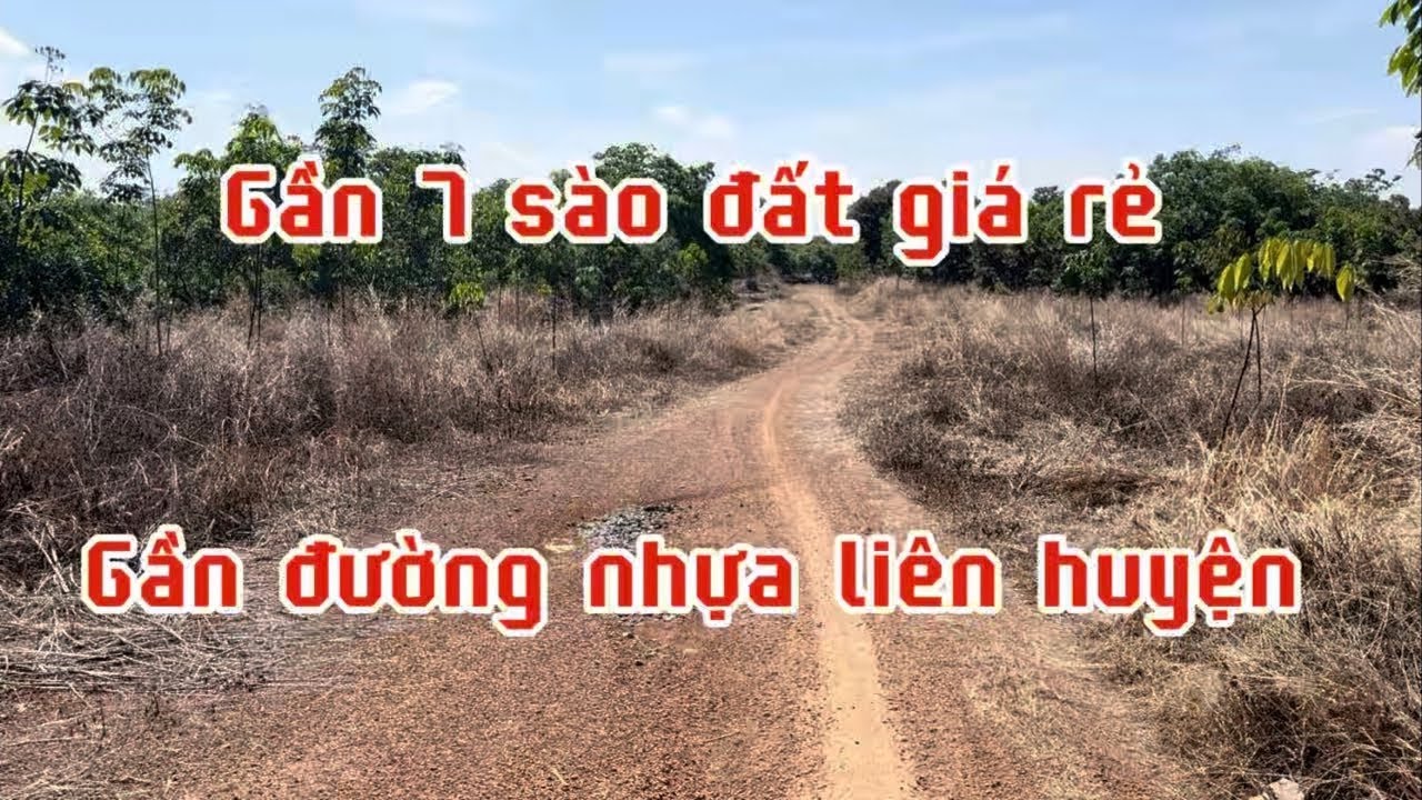 Bán đất vườn gần 7 sào giá chỉ 750 triệu.đồng phú Bình Phước (đồng Nai) lh 0867048379
