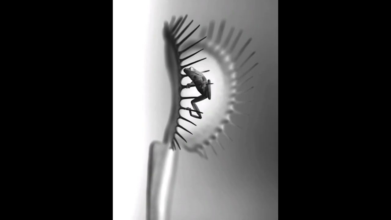 Hip Hop Bass Type Beat 2026 - 