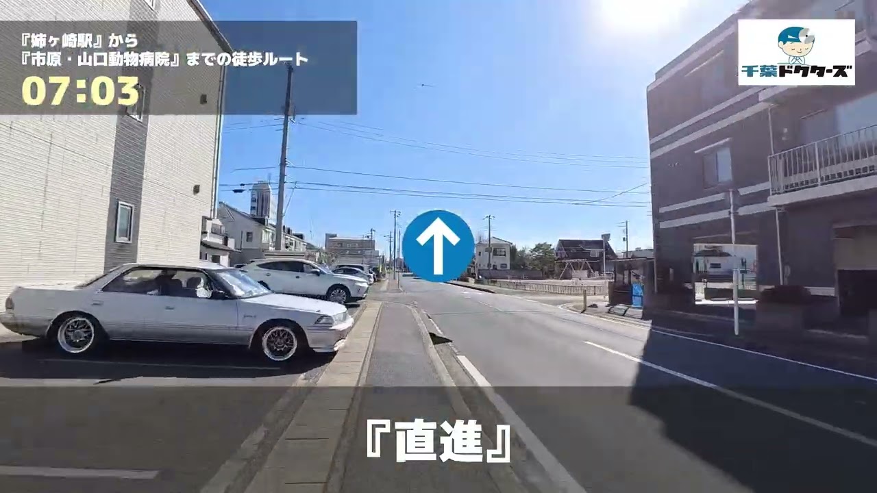 市原・山口動物病院の徒歩ルート（姉ヶ崎駅・動物病院）