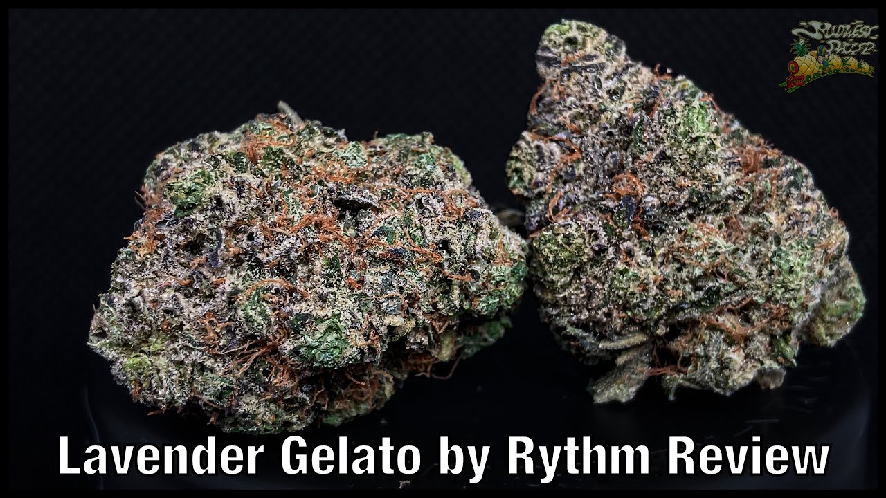 Lavender Gelato by Rythm Review