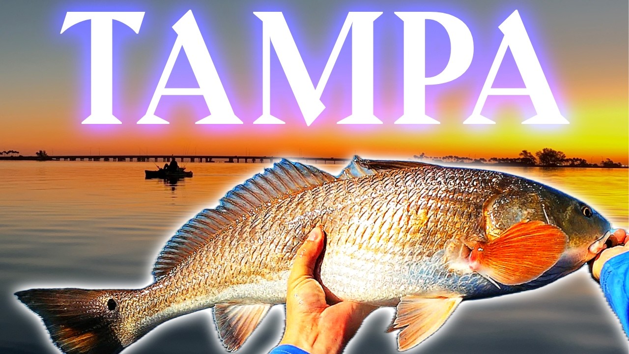 TAMPA FISHING WENT OFF! 🏆 2 Personal Bests — GIANT Trout & Bull Redfish