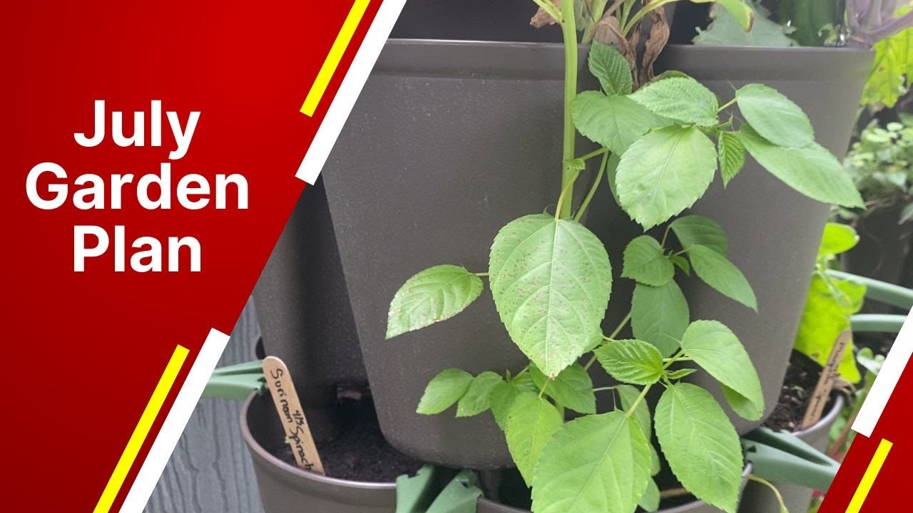 July Gardening in Florida: Top 15 Vegetables to Plant NOW