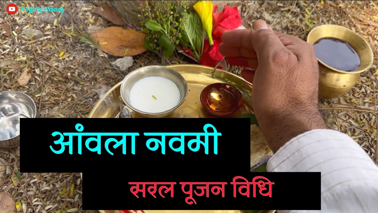 अक्षय आंवला नवमी सरल पूजन विधि ।10 नवंबर । by @yogirajmanoj