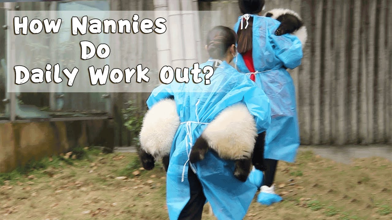 How Nannies Do Daily Work Out？| iPanda