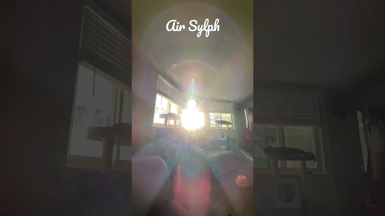 Beautiful Air Sylph
