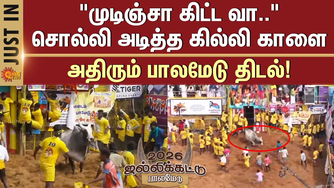 Palamedu Jallikattu -2026 | 