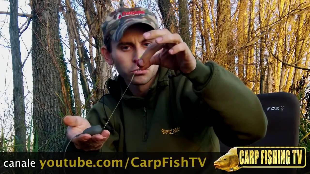 CARPFISHING: Confrontro fra BOLT RIG e IN-LINE