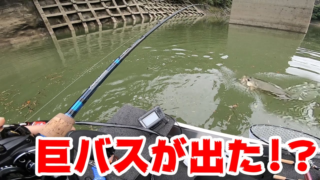 怪物が出た！？山口県米泉湖【バス釣り】【50up100本への道#03】