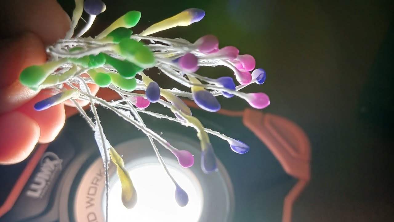 How to make flower stamens 🌸 (МК Як зробити тичинки для квітів)