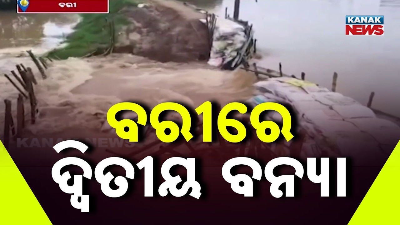 ବରୀରେ ଦ୍ବିତୀୟ ବନ୍ୟା | Jajpur Flood Alert | Brahmani River Water Enters Bari Through Breach