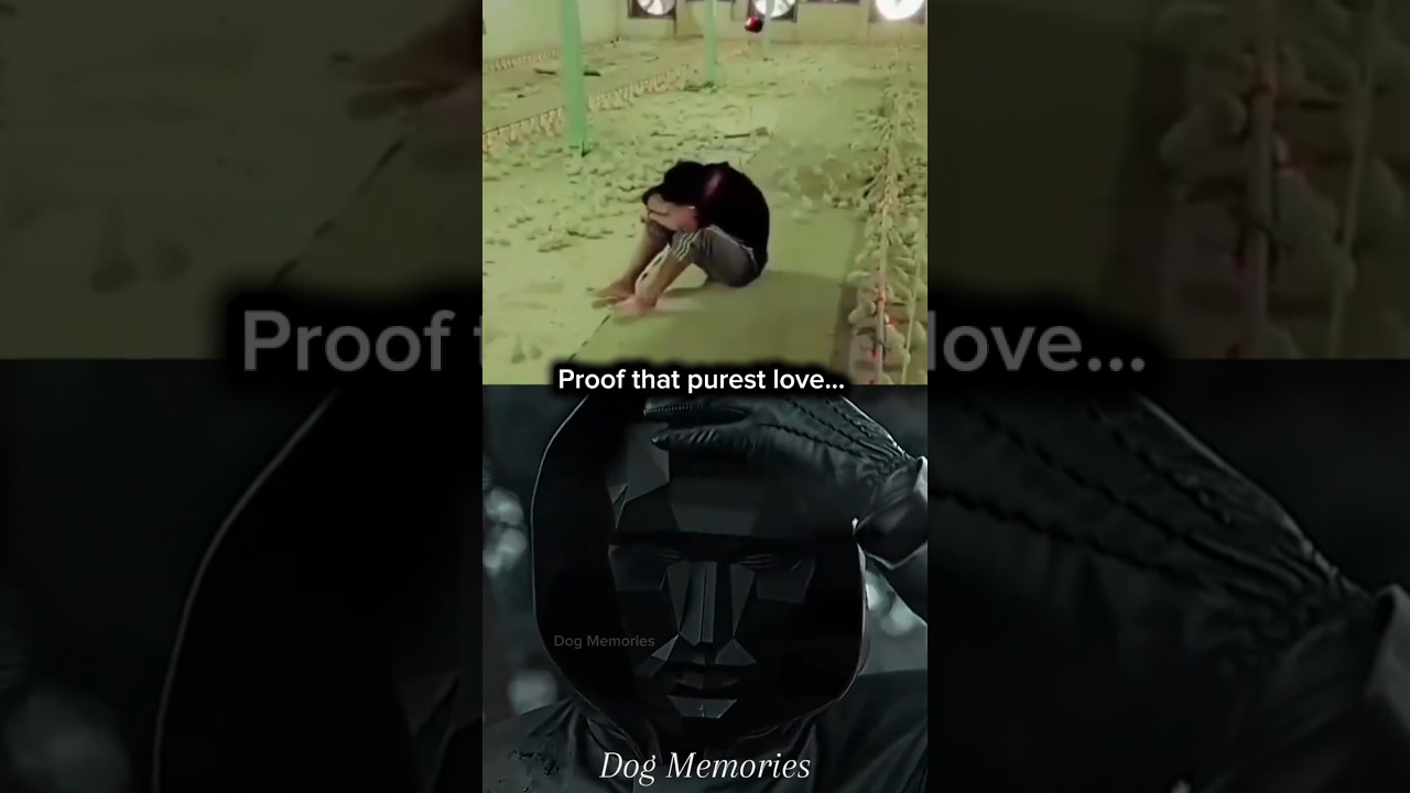 Dog Sad Moments 💔 (PUREST LOVE) #dog #sad #emotional #shorts