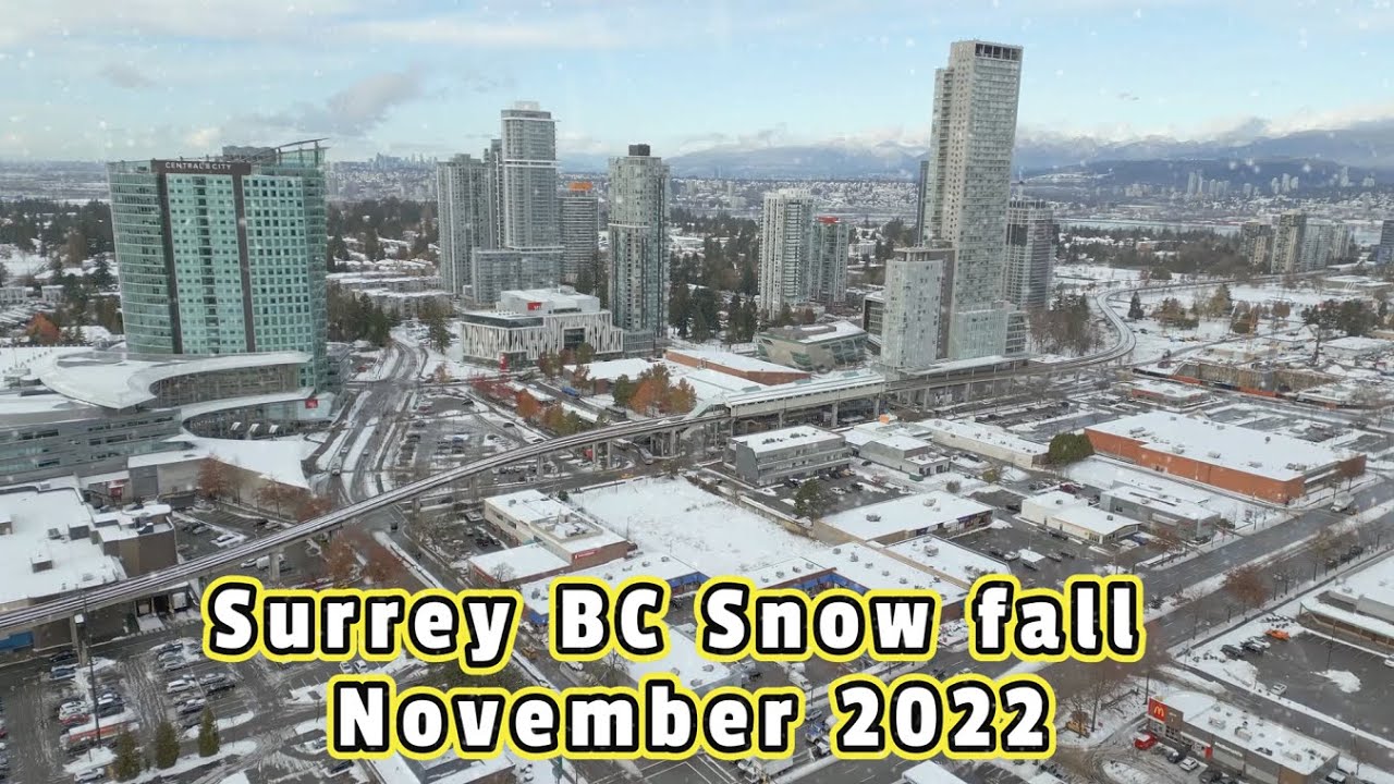 Surrey Snow Fall Flight November 2022