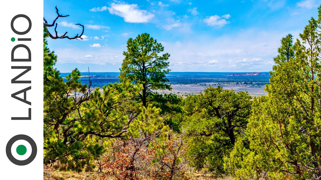 SOLD by LANDiO • 20 Wooded Mountain Acres of Land in New Mexico bordering National Forest