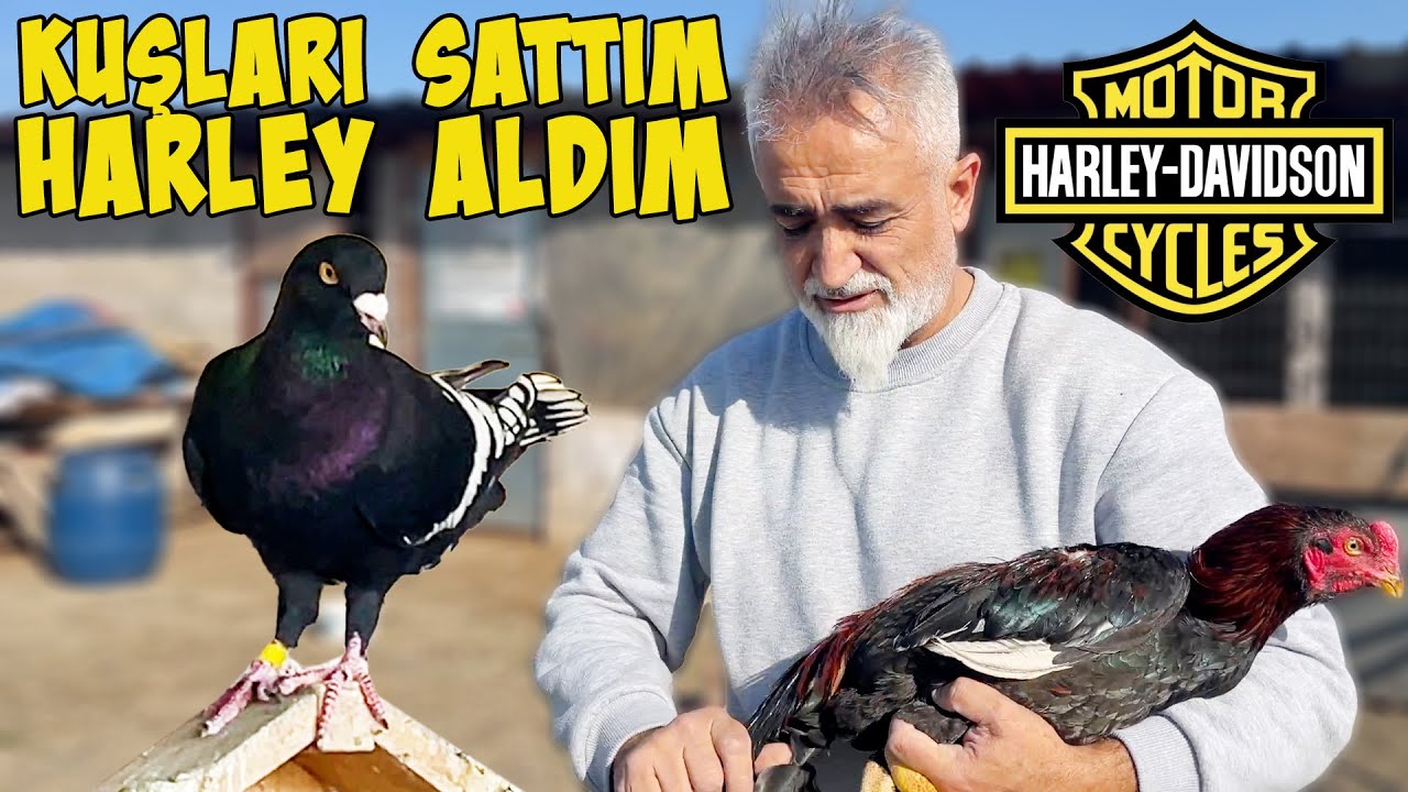 Posta ve Karanakışlıları sattım HARLEY DAVIDSON FORTY EIGHT 1200 XL ALDIM.