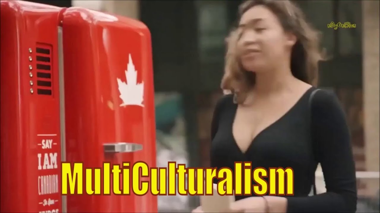 Canadian Beer Fridge - Multiculturalism
