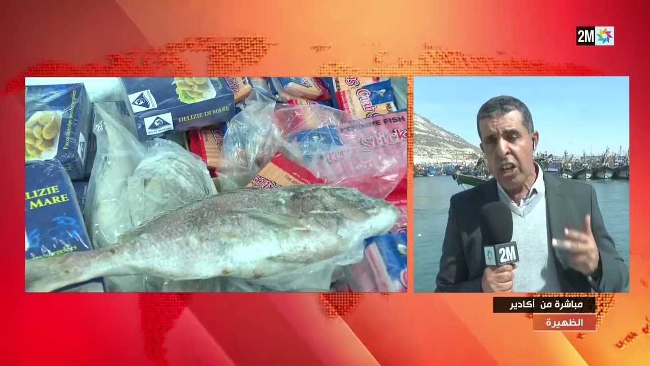 هل سعر سمك السردين وصل ل5 دراهم للكيلوغرام؟ .. الجواب في الفيديو