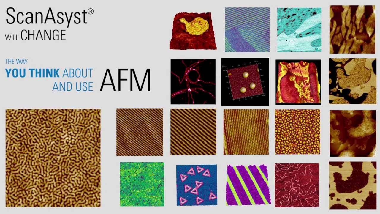 AFM | ScanAsyst: Bruker's Self-Optimizing Imaging | Bruker