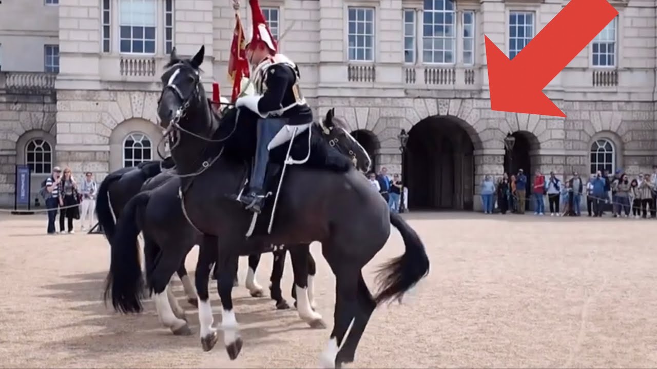 Kings guard spooked and this happened in horse guard parade!!!