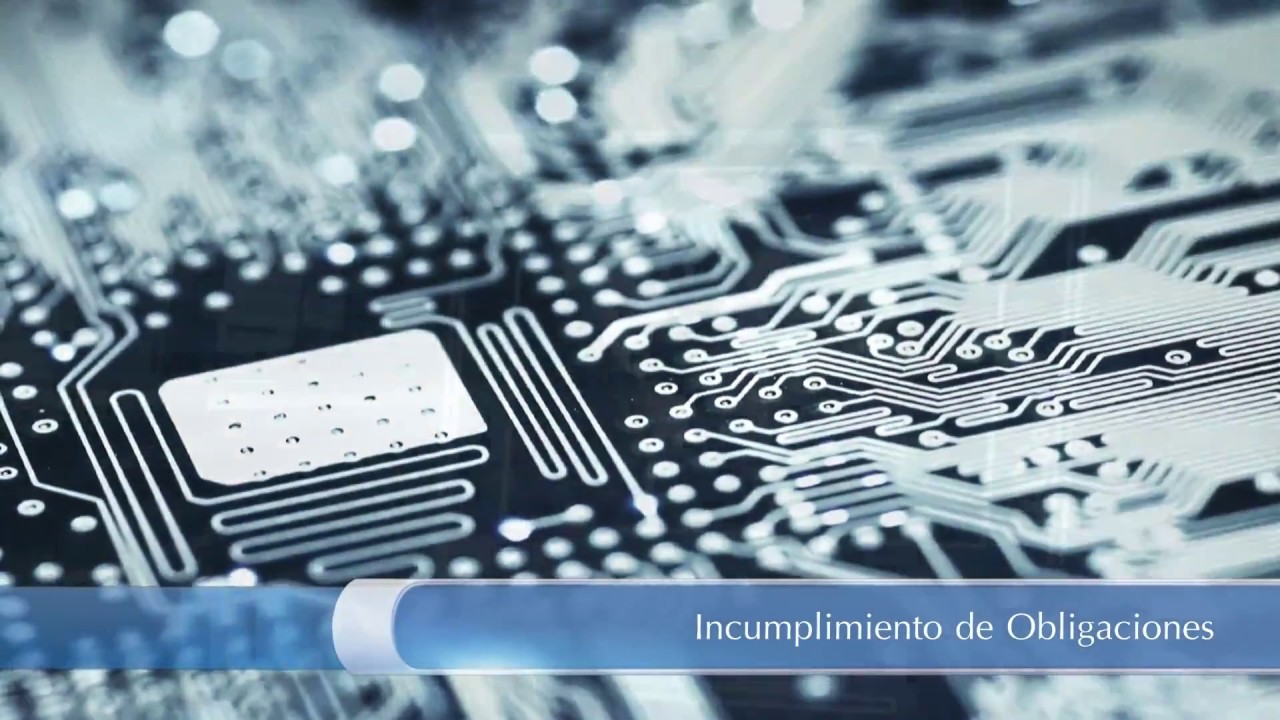Carlos Aldama - Perito Informatico