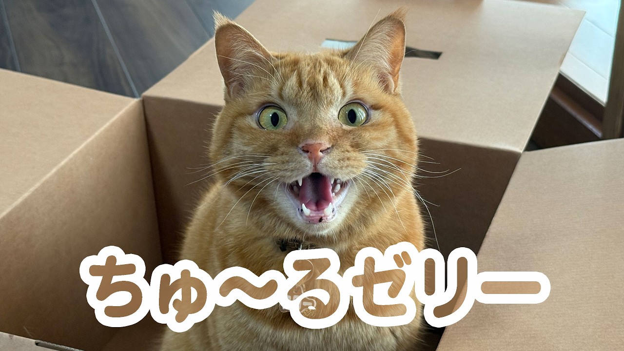ちゅ〜るゼリー
