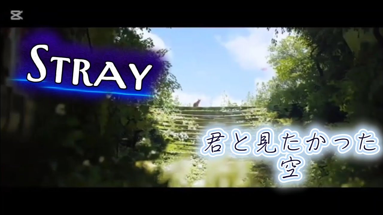 〔Stray〕#8  空はこんなに素晴らしいんだ！！